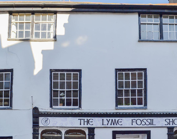 Fossilers Lodge in Lyme Regis, on Dorset's coast, sleeps 8 people