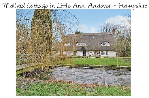 Mallard Cottage in Little Ann, Andover - Hampshire