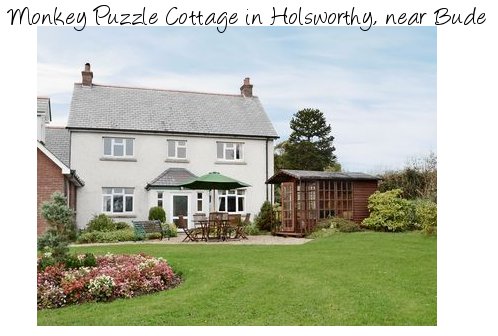 Monkey Puzzle Cottage is a large holiday cottage in Holsworthy, near Bude. Monkey Puzzle Cottage sleeps 9 people