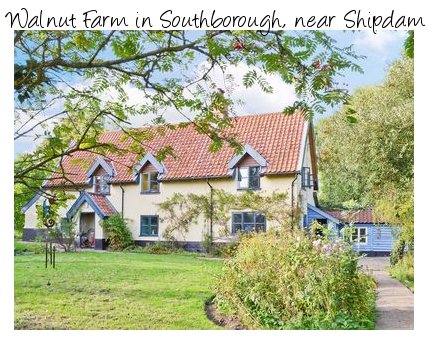 Walnut Farm is a large farmhouse in the village of Southborough, near Shipdam - in Norfolk. Walnut Farm sleeps 7 people and pet friendly