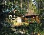 Blackwood Forest Lodges in Micheldever - Hampshire