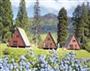 Lochgoilhead Lodges in Lochgoilhead - Argyll